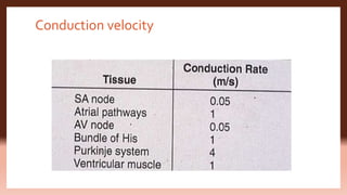 Normal Conduction Rates Cardiac electrophysiology | PPTX