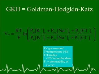 GKH = Goldman-Hodgkin-Katz R="gas constant" T=temperature ( o  K) F=Faraday  10 5  Coulomb/Mole P X  = permeability of   ion "X" 