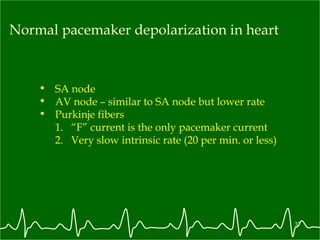 Normal pacemaker depolarization in heart SA node AV node – similar to SA node but lower rate  Purkinje fibers “ F” current is the only pacemaker current Very slow intrinsic rate (20 per min. or less) 