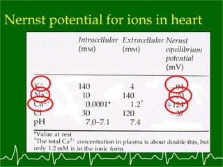 Nernst potential for ions in heart -41 