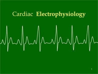 Cardiac  Electrophysiology 