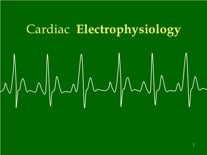 Cardiac+Electrophysiology