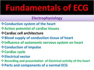 Conduction system of the heart
Action potential of cardiac tissues
Cardiac cell architecture
Blood supply of conduction tissue of heart
Influence of autonomic nervous system on heart
Conduction of impulse
Cardiac cycle
Electrical vector
Recording and presentation of Electrical activity of the heart
Parts and components of a normal ECG
Fundamentals of ECG
Electrophysiology
 