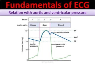 Fundamentals of ECG
Relation with aortic and ventricular pressure
 
