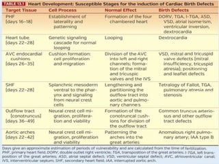 Cardiac embryology | PPTX