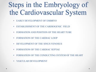Cardiac Embryology basics.pptx