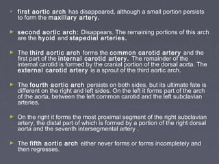    first aortic arch has disappeared, although a small portion persists
    to form the maxillary artery.

►   second aortic arch: Disappears. The remaining portions of this arch
    are the hyoid and stapedial arteries.

►   The third aortic arch forms the common carotid artery and the
    first part of the internal carotid artery. The remainder of the
    internal carotid is formed by the cranial portion of the dorsal aorta. The
    external carotid artery is a sprout of the third aortic arch.

►   The fourth aortic arch persists on both sides, but its ultimate fate is
    different on the right and left sides. On the left it forms part of the arch
    of the aorta, between the left common carotid and the left subclavian
    arteries.

►   On the right it forms the most proximal segment of the right subclavian
    artery, the distal part of which is formed by a portion of the right dorsal
    aorta and the seventh intersegmental artery .

►   The fifth aortic arch either never forms or forms incompletely and
    then regresses.
 