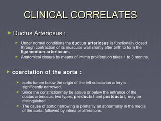 CLINICAL CORRELATES
► Ductus Arteriosus :
     ► Under normal conditions the ductus arteriosus is functionally closed
       through contraction of its muscular wall shortly after birth to form the
       ligamentum arteriosum.
     ► Anatomical closure by means of intima proliferation takes 1 to 3 months.



►   coarctation of the aorta :
     ► aortic lumen below the origin of the left subclavian artery is
       significantly narrowed.
     ► Since the constrictionmay be above or below the entrance of the
       ductus arteriosus, two types, preductal and postductal, may be
       distinguished.
     ► The cause of aortic narrowing is primarily an abnormality in the media
       of the aorta, followed by intima proliferations.
 