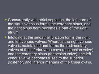 ► Concurrently with atrial septation, the left horn of
  the sinus venosus forms the coronary sinus, and
  the right sinus horn becomes a part of the right
  atrium.
► Infolding at the sinoatrial junction forms the right
  and left venous valves. Whereas the right venous
  valve is maintained and forms the rudimentary
  valves of the inferior vena cava (eustachian valve)
  and the coronary sinus (thebesian valve), the left
  venous valve becomes fused to the superior,
  posterior, and inferior margins of the fossa ovalis.
 