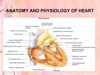ANATOMY AND PHYSIOLOGY OF HEART
 