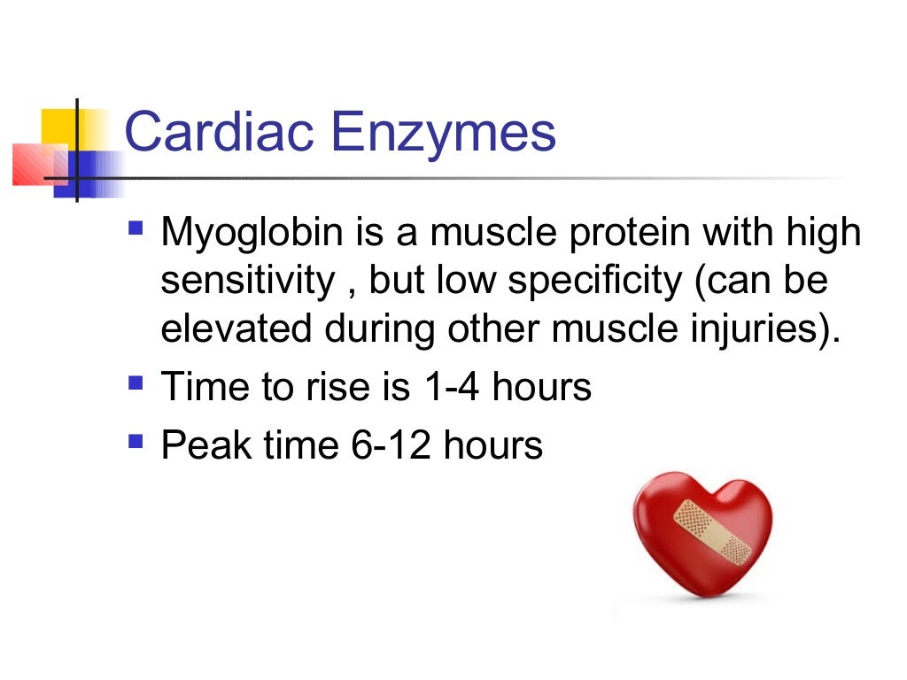 Elevated Enzymes Around The Heart at Arthur Lewis blog