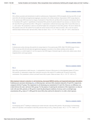 12/3/21, 7:20 AM Cardiac Excitation and Contraction: Silica nanoparticles induce cardiotoxicity interfering with energetic status and Ca2+ handling i…
https://www.ncbi.nlm.nih.gov/pmc/articles/PMC5407167/ 7/16
SiO treatment induced a reduction in cell shortening, decreased SERCA activity, and impaired β-adrenergic stimulation.
Open in a separate window
Fig. 3.
SiO cellular association and internalization in adult rat cardiomyocytes. Representative SEM micrographs showing nano-SiO (A) and
micro-SiO (B) individual and agglomerates/aggregates association to the cellular membrane. Representative SEM–energy-dispersive
X-ray spectroscopy (EDS) transversal cut images of untreated (C), Nano-SiO (D), and Micro-SiO (E) particle internalization after 24
h of incubation (99.5 μg/ml). F: quantification of internalized SiO particles by particle-induced X-ray emission, as a function of time
(for nano-SiO 99.5 μg/ml and micro-SiO 1,500 μg/ml). G: representative confocal microscopy image of the F-micro-SiO shown as
x, y and z-stacks. The cytoskeleton is shown in red and the brighter dots correspond to F-micro-SiO particles. The arrows indicate the
SiO particles in the cell. The symbol N (in G) marks the nucleus location in the cell. Values are means ± SD; a t-test was used as
statistical analysis between nano- and micro-SiO Values are means ± SE, n = 3–5. *P < 0.05 vs. nano; ‡P < 0.05 vs. basal (time 0).
Open in a separate window
Fig. 4.
Cardiomyocytes surface showing silica particles by energy-dispersive X-ray spectroscopy (EDS). Right: FEG-SEM images of micro-
SiO (A) and nano-SiO (B) individual and agglomerates/aggregates association to the cellular membrane and an adult rat
cardiomyocyte as a control sample (C). Left: the respective four EDS images of elemental maps for carbon (red), sodium (cyan), silicon
(magenta/yellow), and oxygen (green).
Open in a separate window
Fig. 5.
Micro-SiO internalization in adult myocytes. A: semiquantitative increase in fluorescence in a dose-dependent manner of F-micro-
SiO particles. B: representative images from ventricular myocytes at the control (CT) condition and 150 µg/ml F-micro-SiO
concentration. The cytoskeleton is shown in red and F-micro-SiO in green. Values are means ± SE, n = 4–6. *P < 0.05 vs. CT.
Cardiomyocyte sarcomere shortening (Fig. 6) following nano- and micro-SiO treatment reduced by 34 and 36%, respectively,
compared with the CT group. This impairment in cell shortening was maintained at 0.5 and 2 Hz. However, no difference was
evident between the nano- and micro-SiO groups. For the purpose of exploring the mechanism of this impairment, we chose to
work with nano-SiO particles at 100 µg/ml to match the physiological conditions of airways and to avoid high range
concentrations (IC values of >1,500 µg/ml for micro-SiO ) that could not be detected in vivo after a short exposure.
Open in a separate window
Fig. 6.
Cell shortening and Ca handling in cardiomyocytes treated with nano- and micro-SiO particles. The percentage of cell shortening
before (CT) and after a 24-h treatment of nano-SiO and micro-SiO at its IC Values are means ± SE, n = 15. **P < 0.001 vs. CT.
2 2
2
2 2
2
2 2 2
2
2
2.
2 2
2
2 2
2
2
2
2
2
50 2
2+
2
2 2 50.
2
 