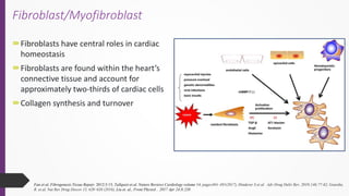 Cardiac Fibrosis – A Comprehensive Overview of Mechanisms, Tools and ...