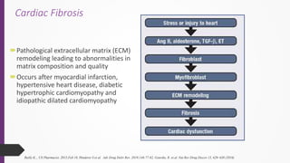 Cardiac Fibrosis – A Comprehensive Overview of Mechanisms, Tools and ...