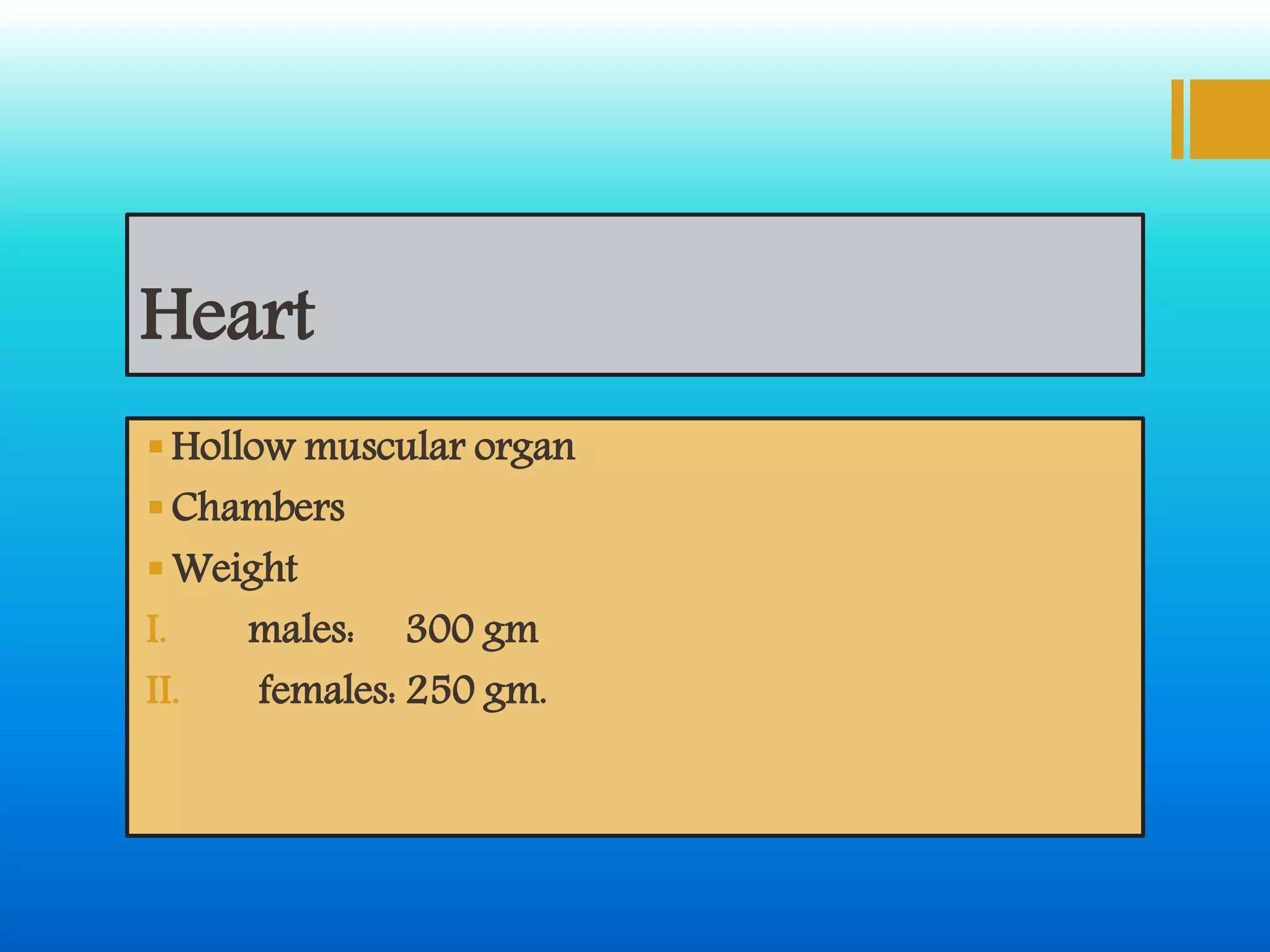 Heart
Hollow muscular organ
Chambers
Weight
I. males: 300 gm
II. females: 250 gm.
 