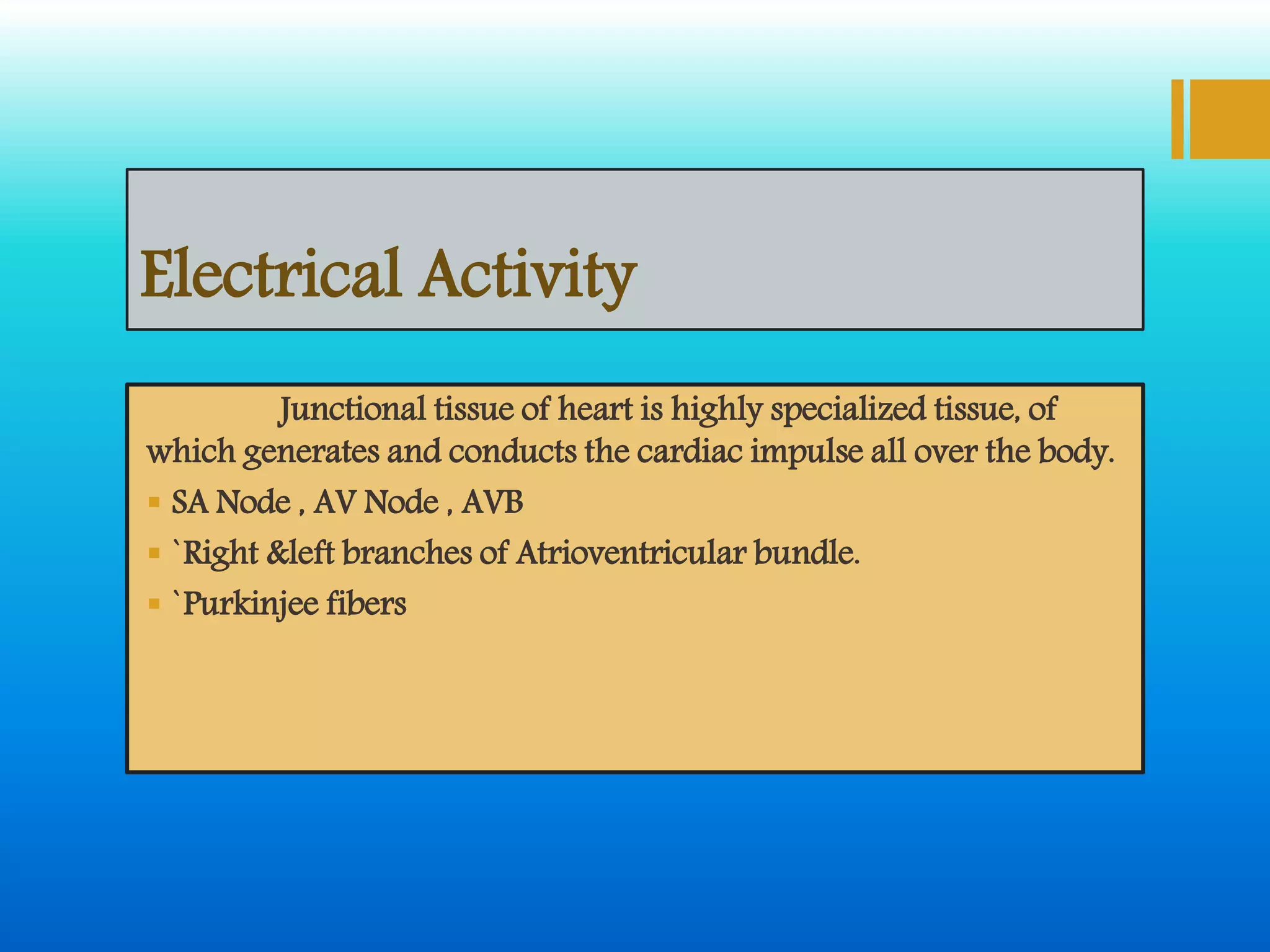 Electrical Activity
Junctional tissue of heart is highly specialized tissue, of
which generates and conducts the cardiac impulse all over the body.
 SA Node , AV Node , AVB
 `Right &left branches of Atrioventricular bundle.
 `Purkinjee fibers
 