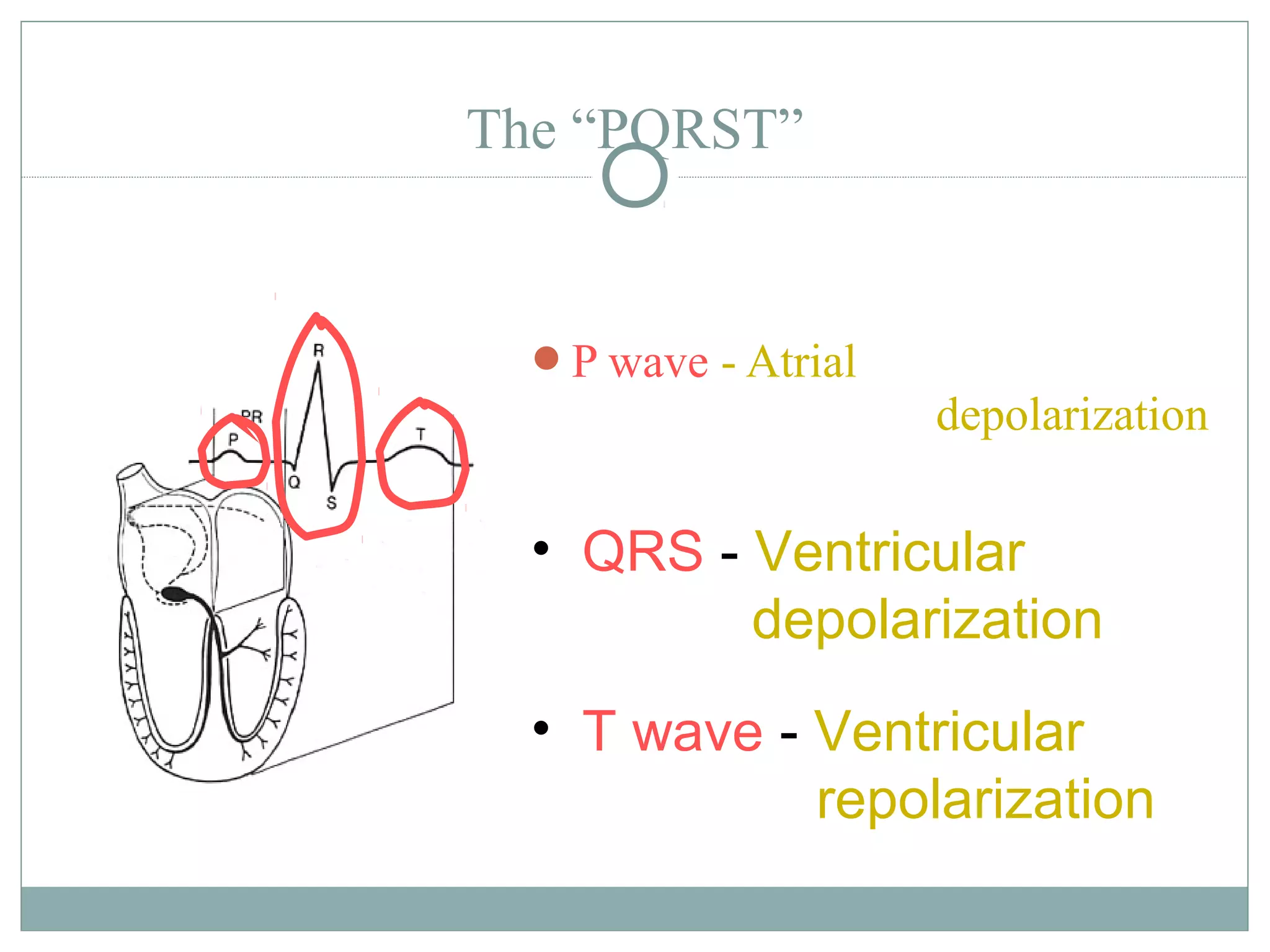 The “PQRST”
P wave - Atrial
depolarization
• T wave - Ventricular
repolarization
• QRS - Ventricular
depolarization
 
