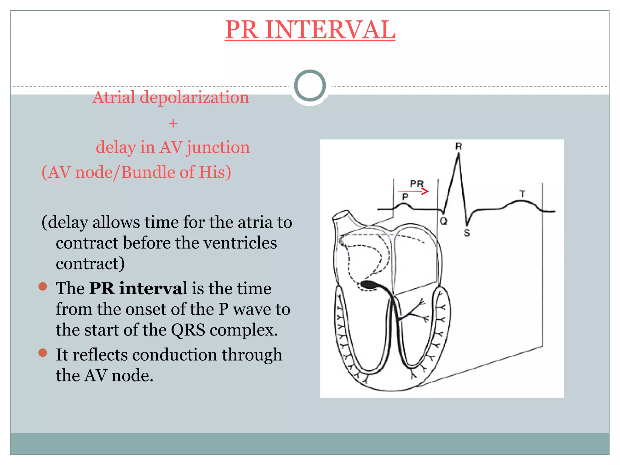 PR INTERVAL
Atrial depolarization
+
delay in AV junction
(AV node/Bundle of His)
(delay allows time for the atria to
contract before the ventricles
contract)
 The PR interval is the time
from the onset of the P wave to
the start of the QRS complex.
 It reflects conduction through
the AV node.
 