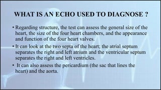 Cardiac function tests | PPTX