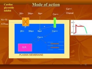 1212
Mode of actionMode of action
3Na+2K+ Ca++
A
T
P
Na+
Na+3Na+2K+ Ca++
Ca++
S.R.
PLASMA MEMBRAINE
Na+/K+
ATPase
Ca++
Chanal
Cardiac
glycoside
inhibit
+
 