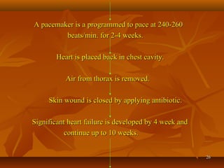 2626
A pacemaker is a programmed to pace at 240-260A pacemaker is a programmed to pace at 240-260
beats/min. for 2-4 weeks.beats/min. for 2-4 weeks.
Heart is placed back in chest cavity.Heart is placed back in chest cavity.
Air from thorax is removed.Air from thorax is removed.
Skin wound is closed by applying antibiotic.Skin wound is closed by applying antibiotic.
Significant heart failure is developed by 4 week andSignificant heart failure is developed by 4 week and
continue up to 10 weeks.continue up to 10 weeks.
 