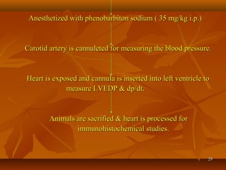 2929
Anesthetized with phenobarbiton sodium ( 35 mg/kg i.p.)Anesthetized with phenobarbiton sodium ( 35 mg/kg i.p.)
Carotid artery is cannuleted for measuring the blood pressure.Carotid artery is cannuleted for measuring the blood pressure.
Heart is exposed and cannula is inserted into left ventricle toHeart is exposed and cannula is inserted into left ventricle to
measure LVEDP & dp/dt.measure LVEDP & dp/dt.
Animals are sacrified & heart is processed forAnimals are sacrified & heart is processed for
immunohistochemical studies.immunohistochemical studies.
 