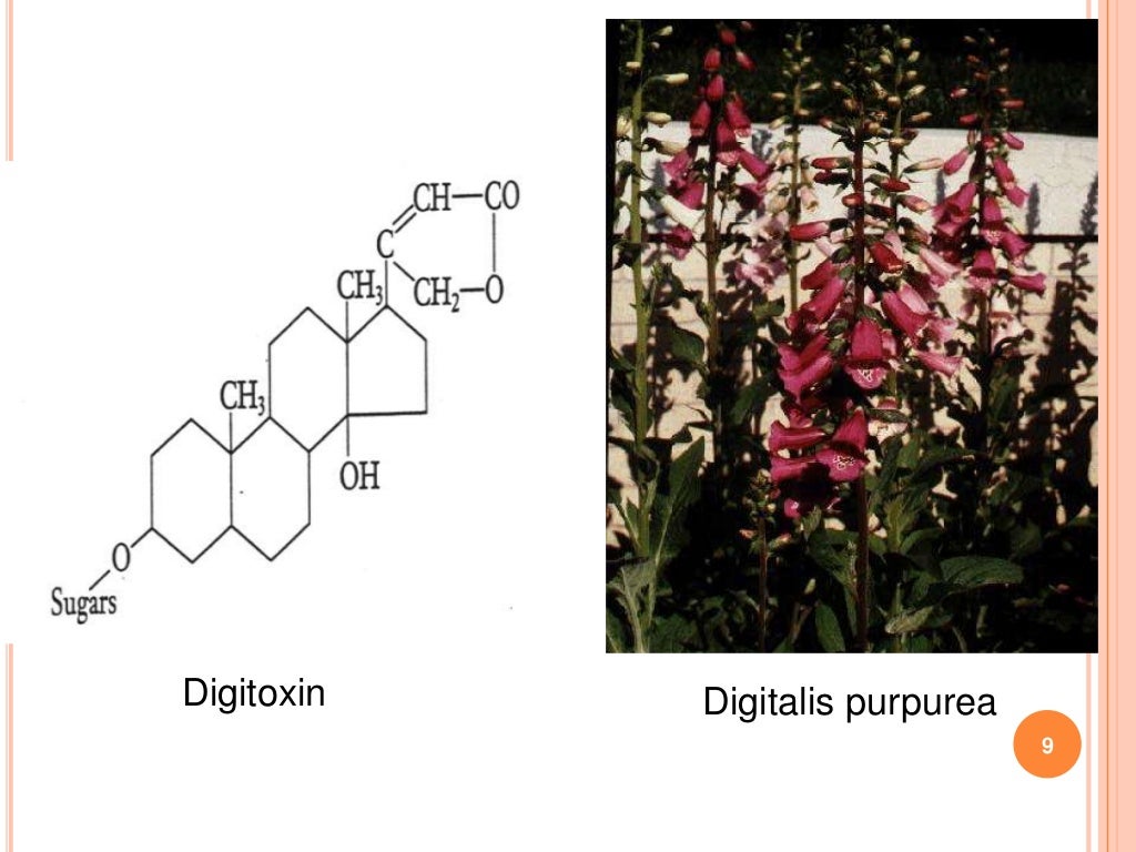 Cardiac Glycosides