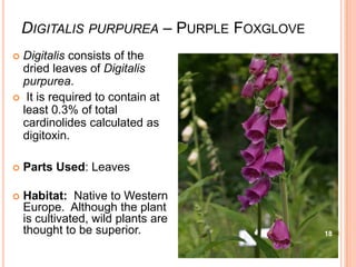 DIGITALIS PURPUREA – PURPLE FOXGLOVE
 Digitalis consists of the
dried leaves of Digitalis
purpurea.
 It is required to contain at
least 0.3% of total
cardinolides calculated as
digitoxin.
 Parts Used: Leaves
 Habitat: Native to Western
Europe. Although the plant
is cultivated, wild plants are
thought to be superior. 18
 