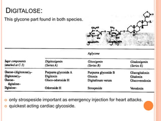 DIGITALOSE:
This glycone part found in both species.
 only strospeside important as emergency injection for heart attacks.
 quickest acting cardiac glycoside.
 