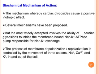 Biochemical Mechanism of Action:
The mechanism whereby cardiac glycosides cause a positive
inotropic effect.
Several mechanisms have been proposed.
but the most widely accepted involves the ability of cardiac
glycosides to inhibit the membrane bound Na+-K+-ATPase
pump responsible for Na+-K+ exchange.
The process of membrane depolarization / repolarization is
controlled by the movement of three cations, Na+, Ca+2, and
K+, in and out of the cell.
24
 