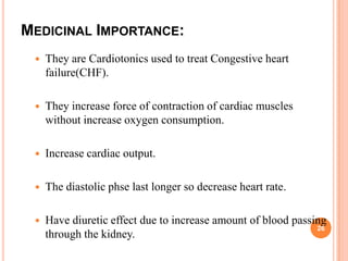 MEDICINAL IMPORTANCE:
 They are Cardiotonics used to treat Congestive heart
failure(CHF).
 They increase force of contraction of cardiac muscles
without increase oxygen consumption.
 Increase cardiac output.
 The diastolic phse last longer so decrease heart rate.
 Have diuretic effect due to increase amount of blood passing
through the kidney.
26
 