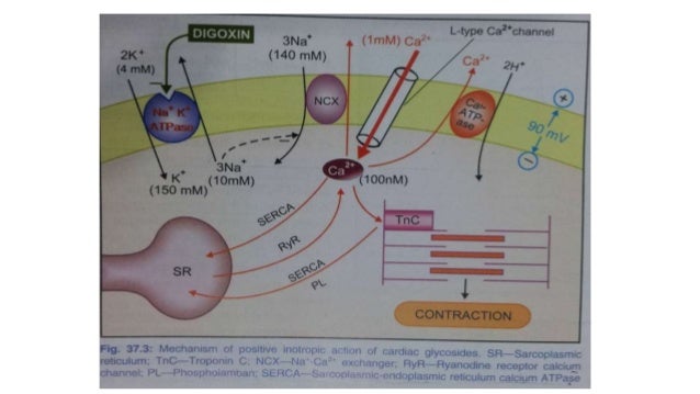 Ciprofloxacin hydrocortisone ear drops price