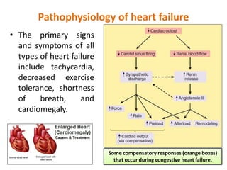 Pathophysiology of heart failure
• The primary signs
and symptoms of all
types of heart failure
include tachycardia,
decreased exercise
tolerance, shortness
of breath, and
cardiomegaly.
Some compensatory responses (orange boxes)
that occur during congestive heart failure.
 
