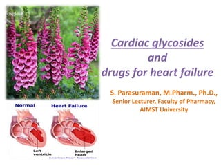 Cardiac glycosides
and
drugs for heart failure
S. Parasuraman, M.Pharm., Ph.D.,
Senior Lecturer, Faculty of Pharmacy,
AIMST University
 