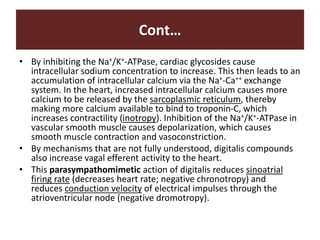 Cont…
• By inhibiting the Na+/K+-ATPase, cardiac glycosides cause
intracellular sodium concentration to increase. This then leads to an
accumulation of intracellular calcium via the Na+-Ca++ exchange
system. In the heart, increased intracellular calcium causes more
calcium to be released by the sarcoplasmic reticulum, thereby
making more calcium available to bind to troponin-C, which
increases contractility (inotropy). Inhibition of the Na+/K+-ATPase in
vascular smooth muscle causes depolarization, which causes
smooth muscle contraction and vasoconstriction.
• By mechanisms that are not fully understood, digitalis compounds
also increase vagal efferent activity to the heart.
• This parasympathomimetic action of digitalis reduces sinoatrial
firing rate (decreases heart rate; negative chronotropy) and
reduces conduction velocity of electrical impulses through the
atrioventricular node (negative dromotropy).
 