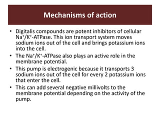 Mechanisms of action
• Digitalis compounds are potent inhibitors of cellular
Na+/K+-ATPase. This ion transport system moves
sodium ions out of the cell and brings potassium ions
into the cell.
• The Na+/K+-ATPase also plays an active role in the
membrane potential.
• This pump is electrogenic because it transports 3
sodium ions out of the cell for every 2 potassium ions
that enter the cell.
• This can add several negative millivolts to the
membrane potential depending on the activity of the
pump.
 