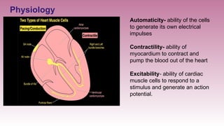 CARDIAC GLYCOSIDES BDS second year pharmacology | PPTX