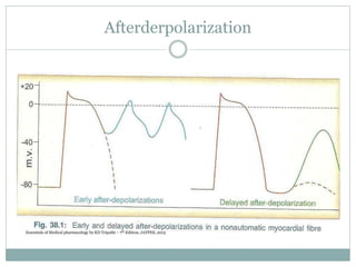 Afterderpolarization
Essentials of Medical pharmacology by KD Tripathi – 7th Edition, JAYPEE, 2013
 