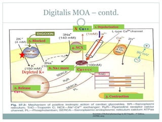 Digitalis MOA – contd.
1. Depolarization
2. Release
Ca++
3. Contraction
4. NCX
5. Blocked
6. Na+ more
X Ca++
Ca++<<
Depleted K+
Essentials of Medical pharmacology by KD Tripathi – 7th Edition,
JAYPEE, 2013
 