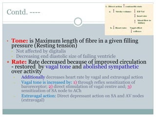 Contd. ----
• Tone: is Maximum length of fibre in a given filling
pressure (Resting tension)
• Not affected by digitalis
• Decreasing end diastolic size of failing ventricle
 Rate: Rate decreased because of improved circulation
- restored by vagal tone and abolished sympathetic
over activity
• Additionally decreases heart rate by vagal and extravagal action
– Vagal tone is increased by: 1) through reflex sensitization of
baroreceptor; 2) direct stimulation of vagal centre and; 3)
sensitization of SA node to ACh
– Extravagal action: Direct depressant action on SA and AV nodes
(extravagal)
 