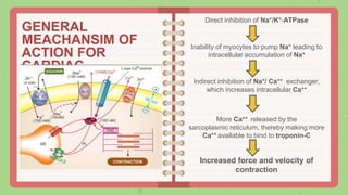 CARDIAC GLYCOSIDES SEMINAR.pptx