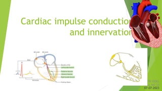 Cardiac impulse conduction
and innervation
ATIK GOEL
ROLL NO 33
07-07-2023
 