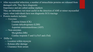 Comprehensive Overview of Cardiac Markers in Acute Myocardial ...