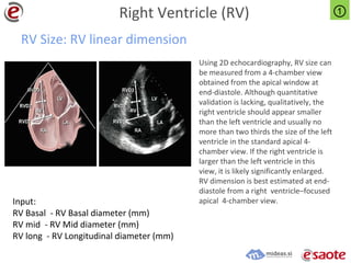 Cardiacmeasurementsguidelinesesaotemideas 140324014158-phpapp02 | PDF