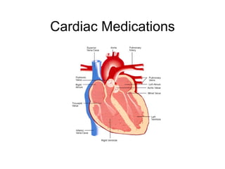 Cardiac Medications 