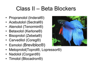 Class II – Beta Blockers Propranolol   (Inderal®)  Acebutolol (Sectral®)  Atenolol (Tenormin®)  Betaxolol (Kerlone®)  Bisoprolol (Zebeta®)  Carvedilol (Coreg®)  Esmolol ( Brevibloc®) Metoprolol(Toprol®, Lopressor®)  Nadolol (Corgard®)  Timolol (Blocadron®)  