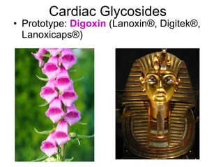 Cardiac Glycosides  Prototype:  Digoxin  (Lanoxin ® , Digitek ® , Lanoxicaps ® ) 