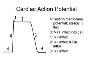 Cardiac medications | PPT
