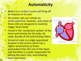 Cardiac medications nursing review 2011 | PPT