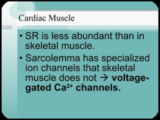 Cardiac Muscle SR is less abundant than in skeletal muscle. Sarcolemma has specialized ion channels that skeletal muscle does not     voltage-gated Ca 2+  channels. 